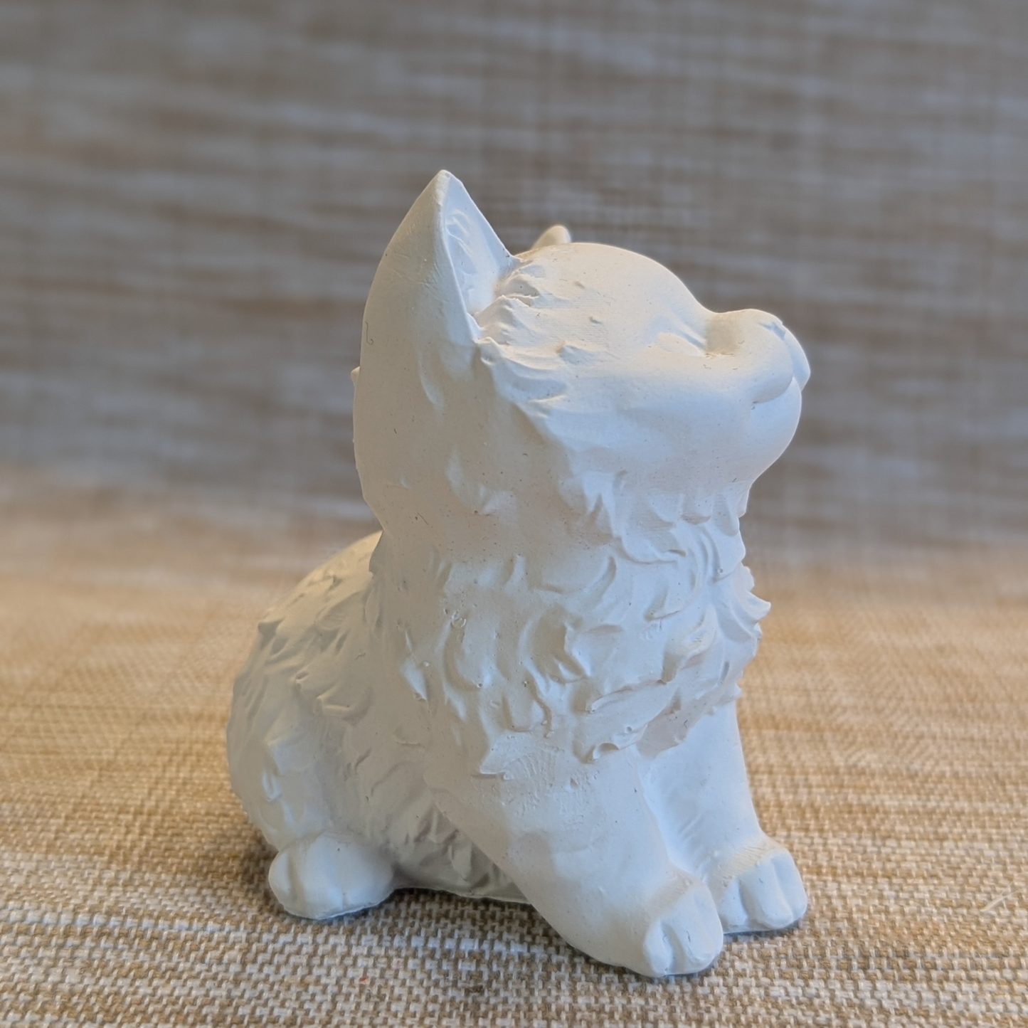Katze