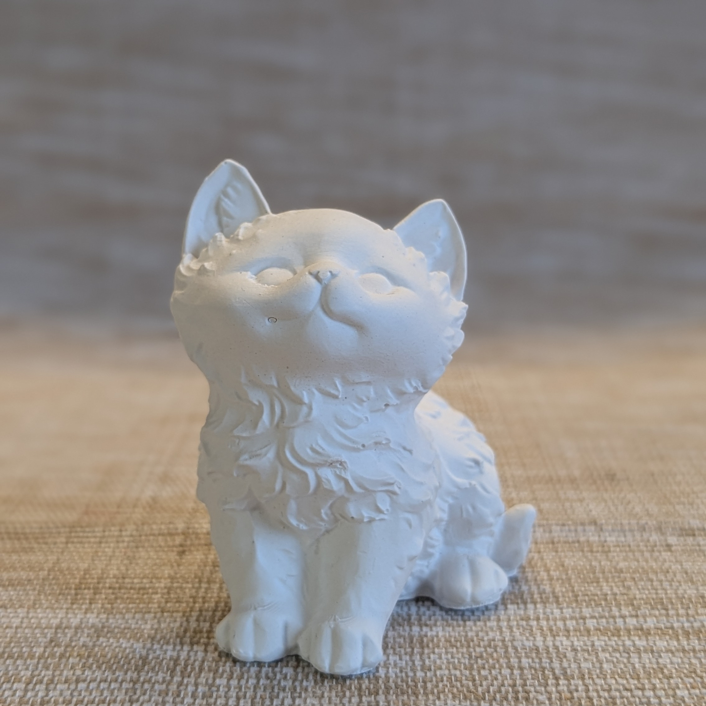 Katze