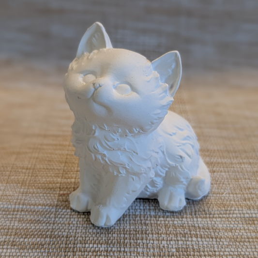 Katze